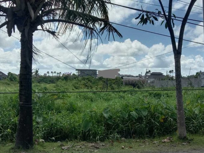 land for lease 35,5 Are in Pererenan (7)