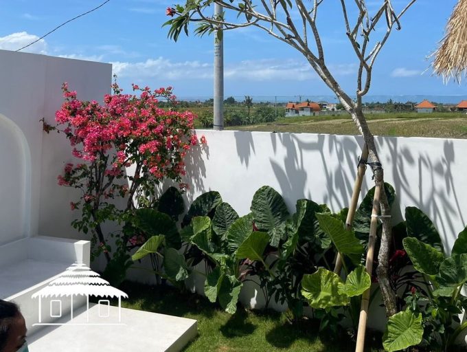 patio1