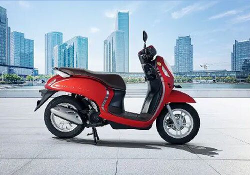 scoopy